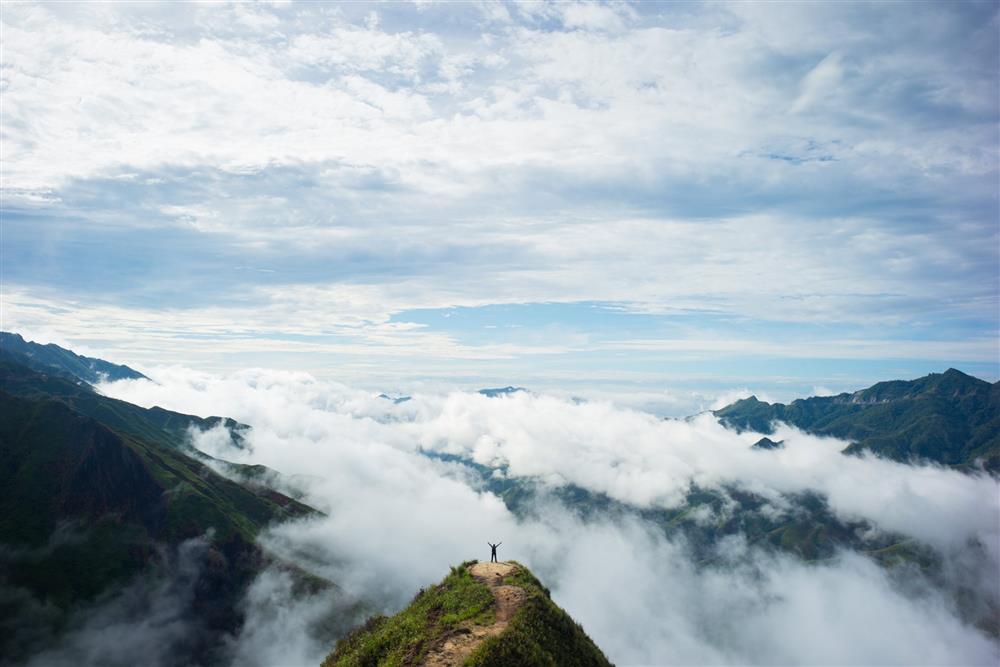 sống lưng khủng long