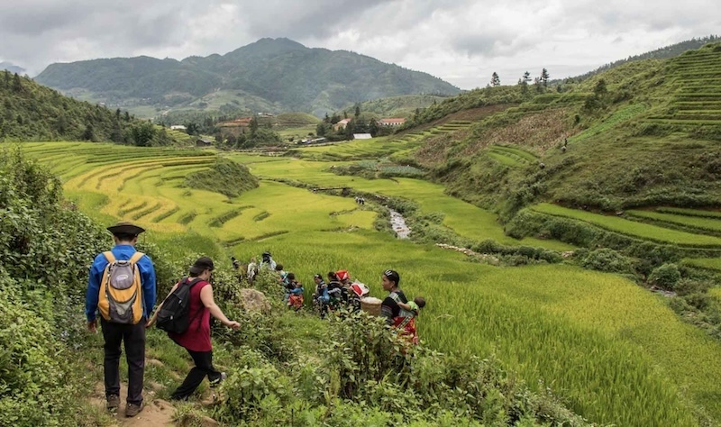 Tour Sapa 1 ngày – Trekking khám phá Ý Linh Hồ, Lao Chải tuyệt đẹp