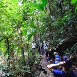 Trekking – Teambuilding núi Ba Vì (2N1Đ)