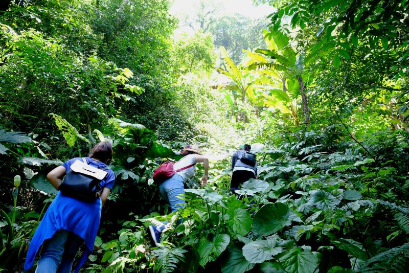 Trekking – Teambuilding leo núi Ba Vì (2N1Đ)