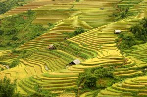 du-lich-ha-giang-thang-nao-dep-nhat-6