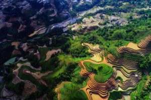 ha-giang-thang-7-1