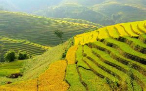 ha-giang-thang-9-1