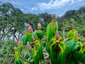 trekking-tam-chi-son-2